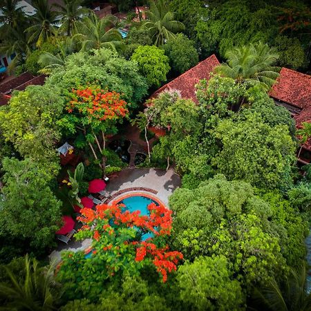 Silk Wild Residence Σιέμ Ρέαπ Εξωτερικό φωτογραφία